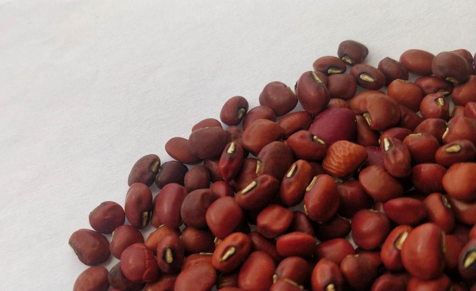 Food nutrition beans