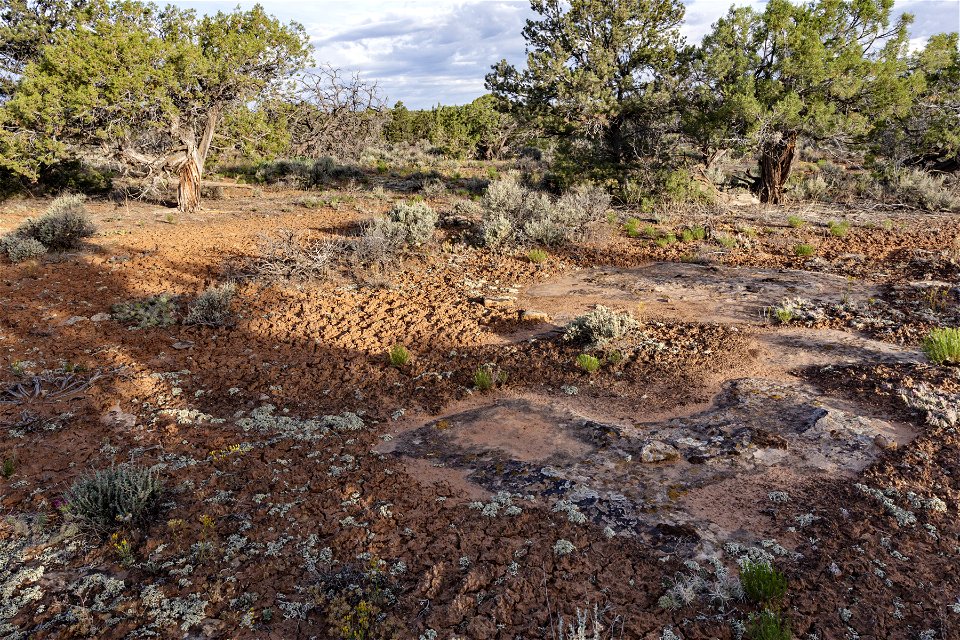 Near Roatcap Gulch