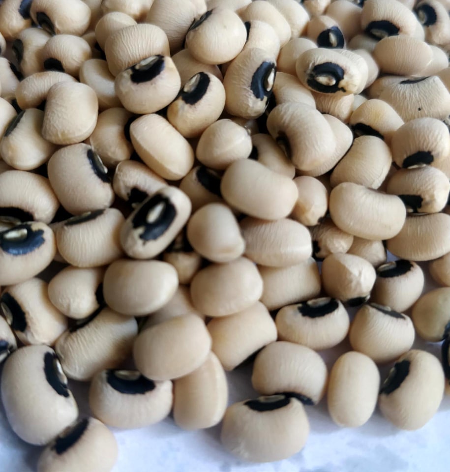 Bean food nutrition