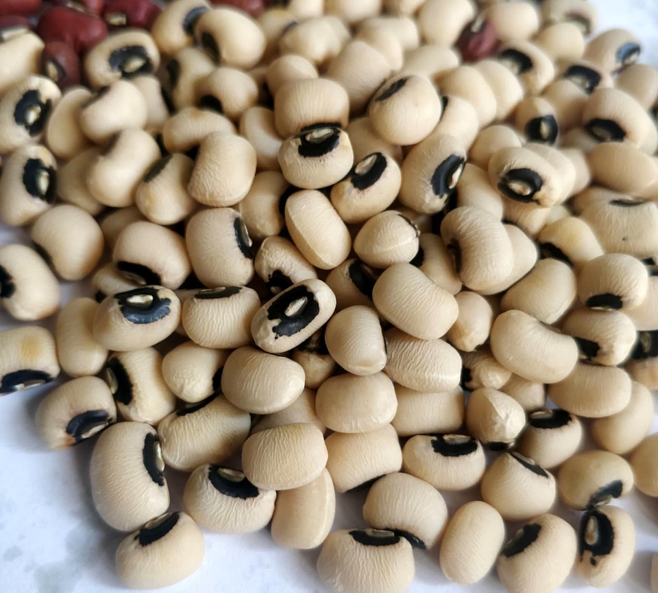 Bean nutrition food