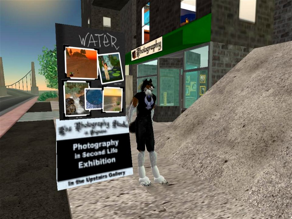 At The Photo Contest