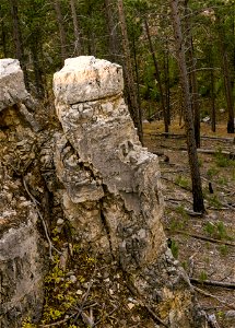 Pillar-like rock formation photo