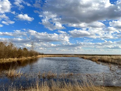 Full Slough