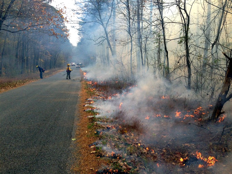 Prescribed burning at Crab Orchard National Wildlife Refuge photo