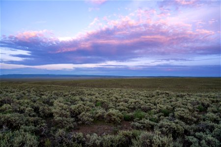 Parker Mountain Sagebrush Steppe