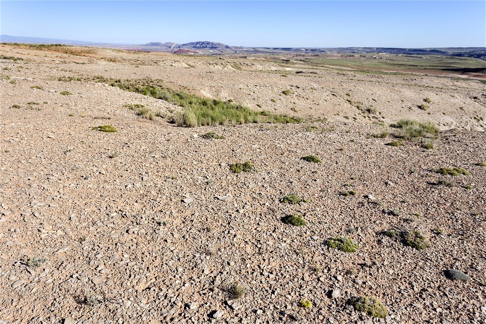 Near East Fork Sand Draw