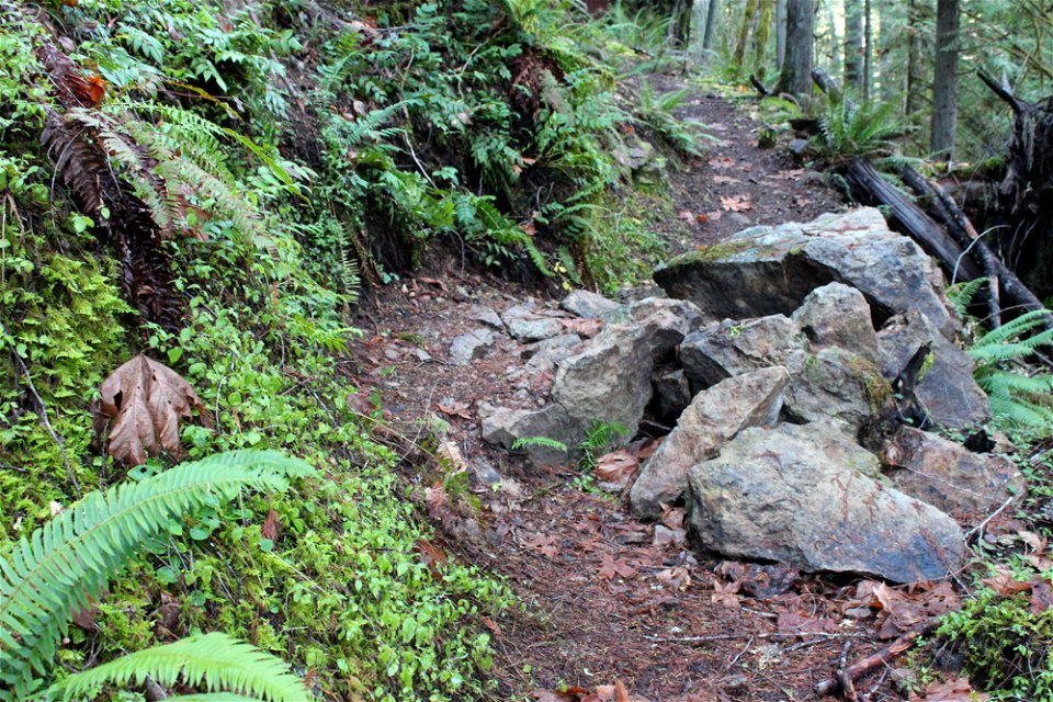img_2217_trail28jpg_49364727447_o