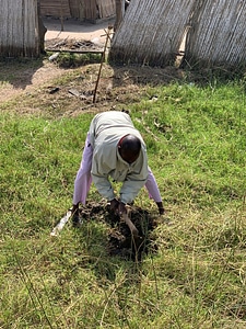 Grass nature farm