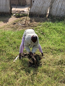 Grass nature farm photo