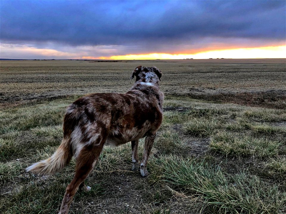 Sniffing the Rain Clouds