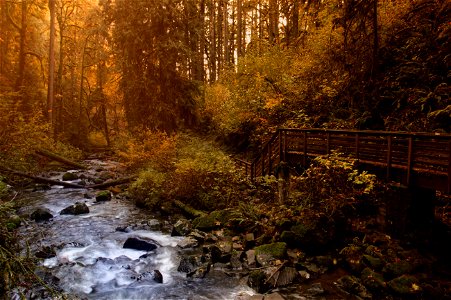 McDowell Creek Falls trail, Oregon photo