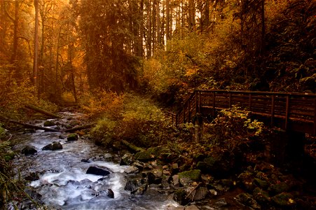 McDowell Creek Falls trail, Oregon