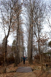 Hantaek Botanical Garden