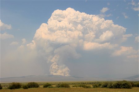 The Goose Fire photo