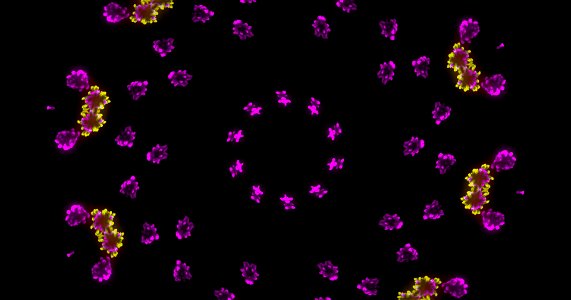 Kaleidoscope211210184616