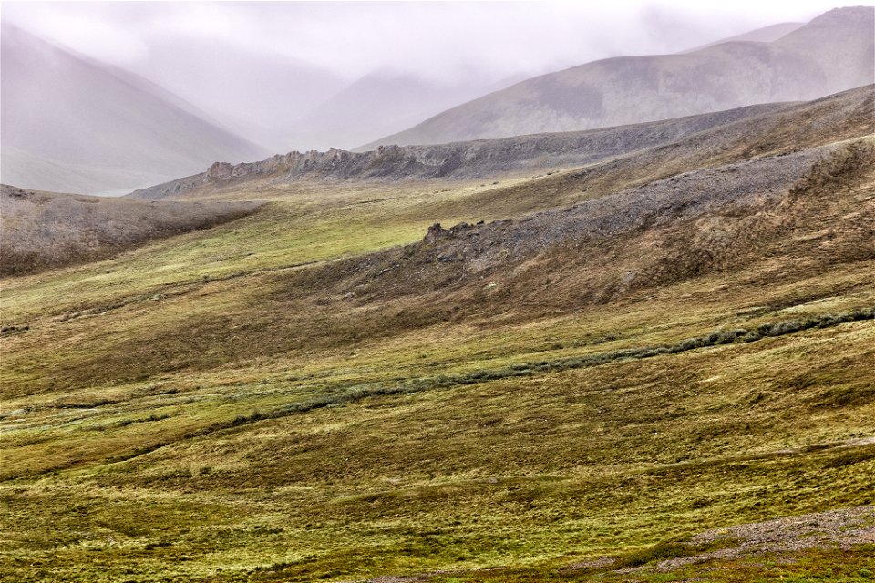 Rain and mist in the Brooks Range foothills photo