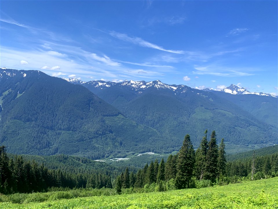 Green Mountain Trail, Mt. Baker-Snoqualmie National Forest. Photo By Sydney Corral June 28, 2021