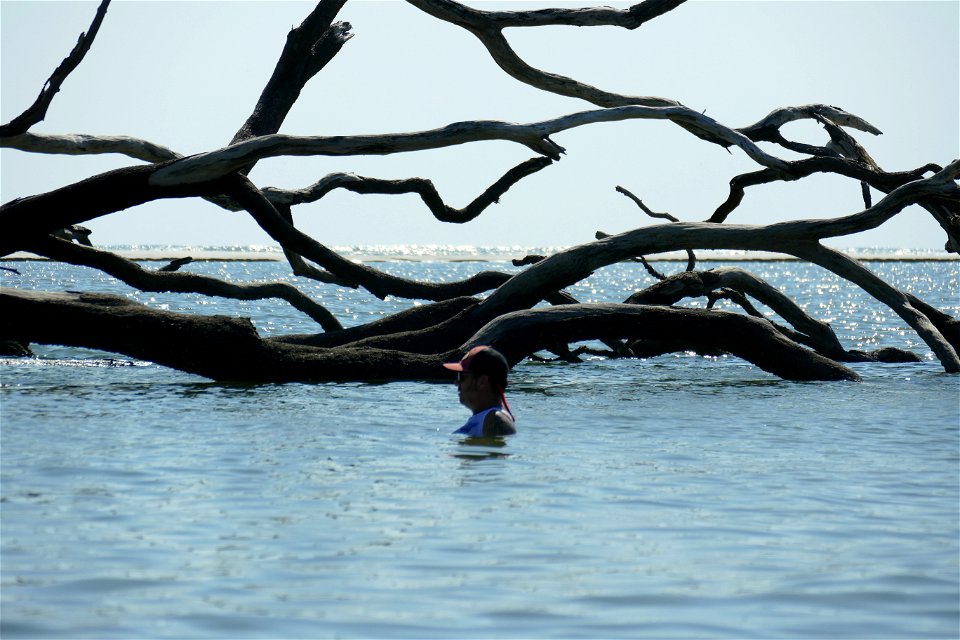 Billy and the Big Tree-P1950004