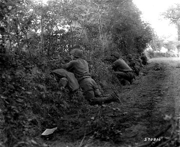 SC 270816 - Infantrymen take cover behind a hedgerow near Srionze, France, as they fire at the enemy only a matter of yards away.