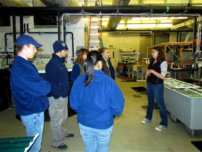 Ocean Acidification Research