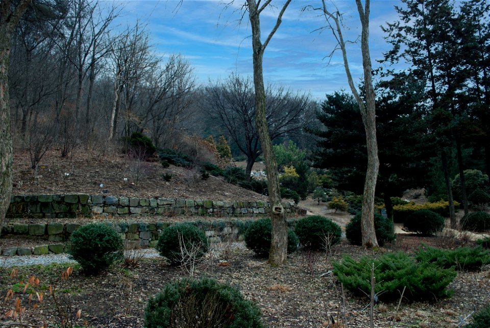 Hantaek Botanical Garden