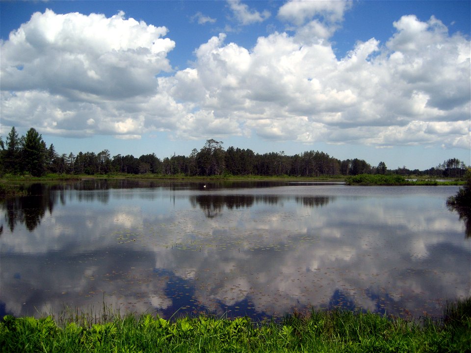 Reflections at Seney National Wildlife Refuge