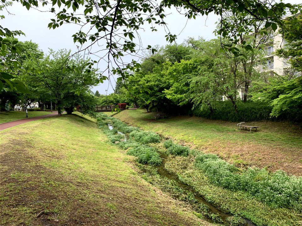 Kurome River in Higashikurume-shi