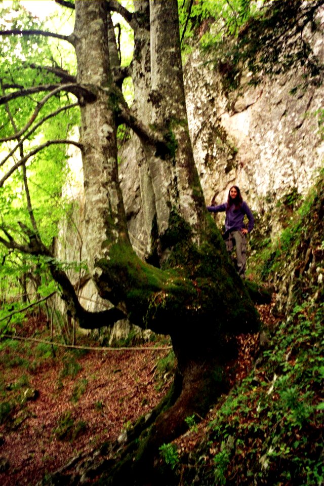 Nacedero del Urederra, Urbasa, Navarra