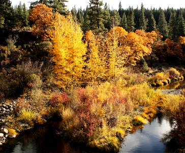 Susan River Canyon