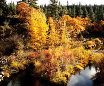 Susan River Canyon photo