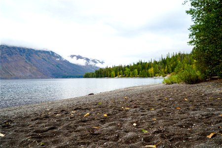 Sprague Creek Picnic Area Shoreline