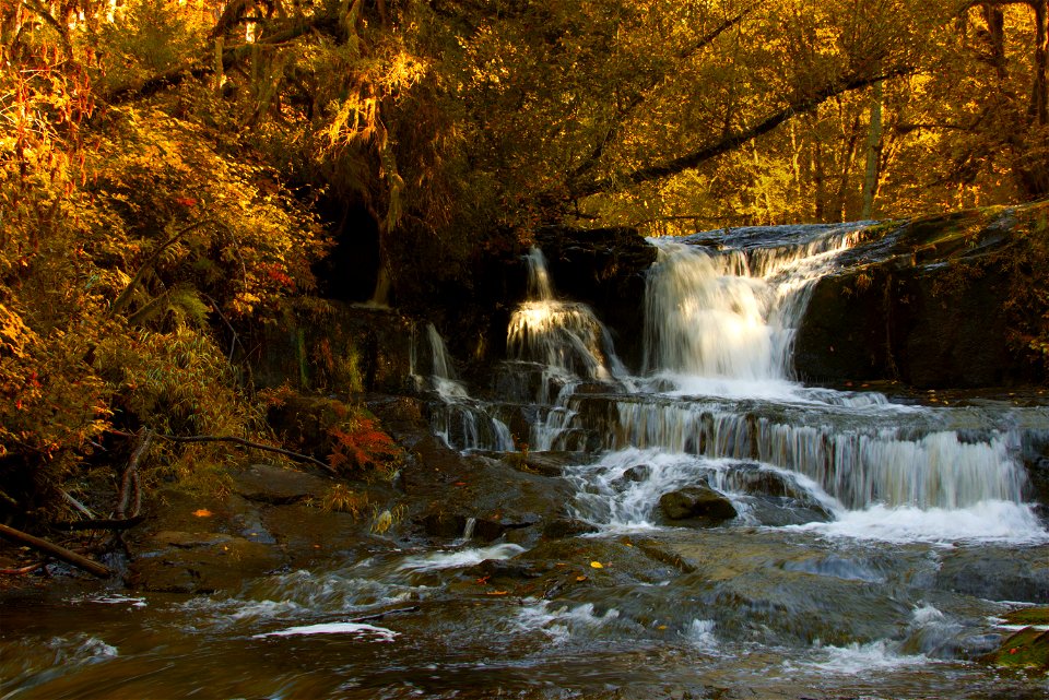 Alsea River on a golden fall day, Oregon