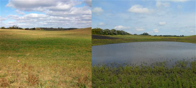 Prairie Pothole Wetland Before and After Image photo