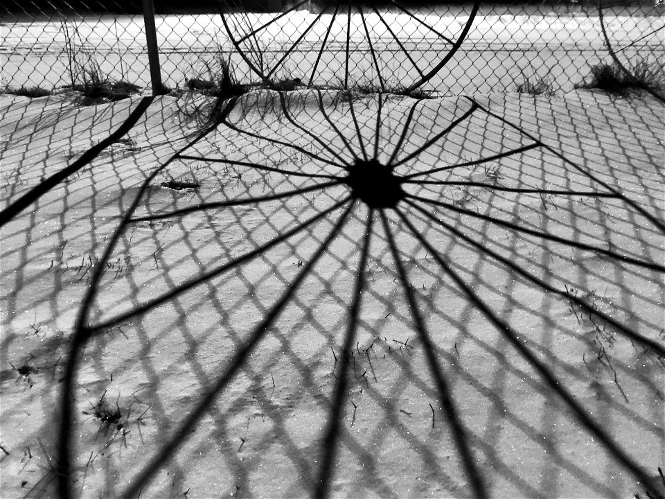 Long Shadow of the Wagon Wheel