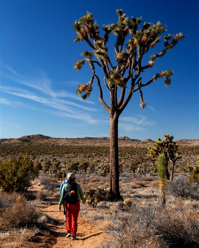 California Riding & Hiking Trail: Covington Region