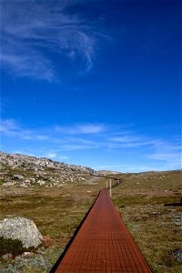 The path to Mt Kosciuszko photo