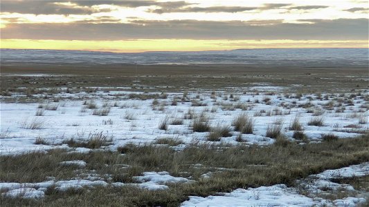 North field pan right to SE access road
