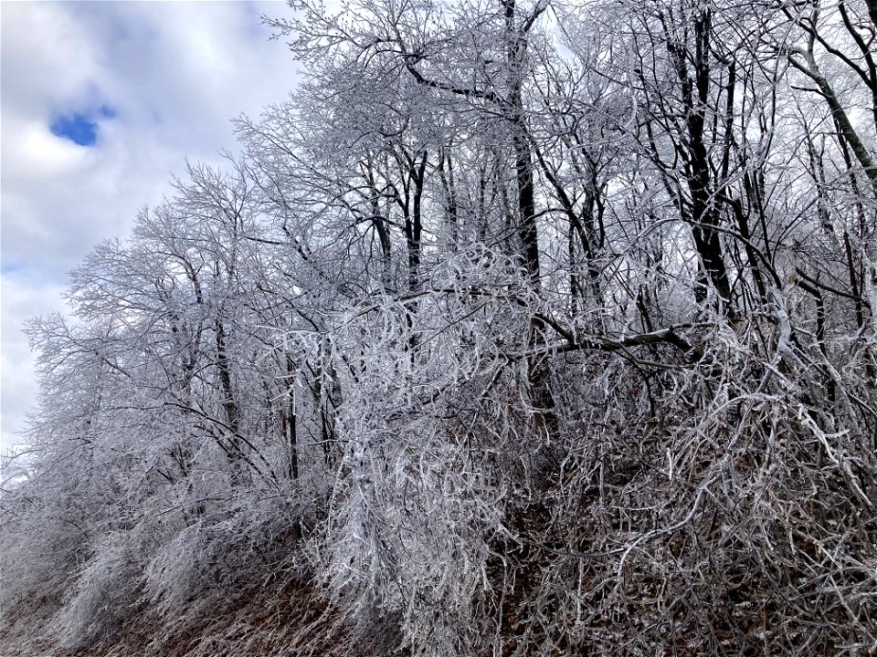Ice Storm 2022