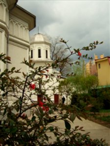 bisSfMaria2007_0415(026)