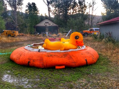 2021 USFWS Fire Employee Photo Contest Category: Animals and Vegetation