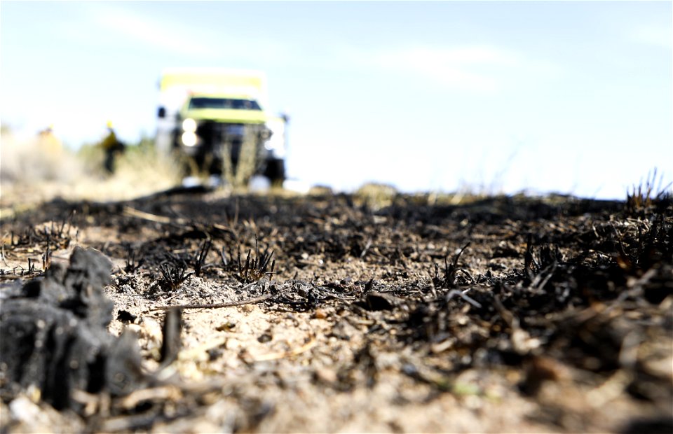 MAY 19: Burned grass along a highway