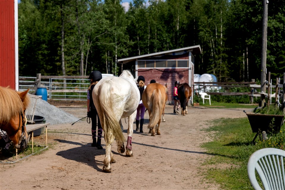 Ratsastuskoulu Saajan talli, Hämeenlinna