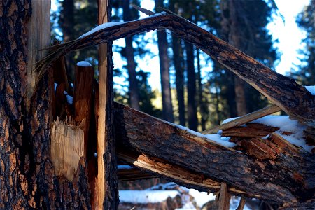 Timber Frame