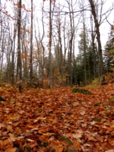20211005-FS-Superior-SAR-010