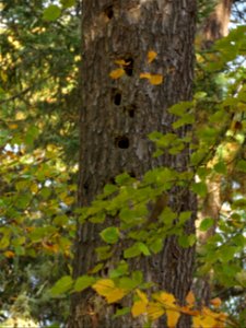 20210928-FS-Superior-SAR-018