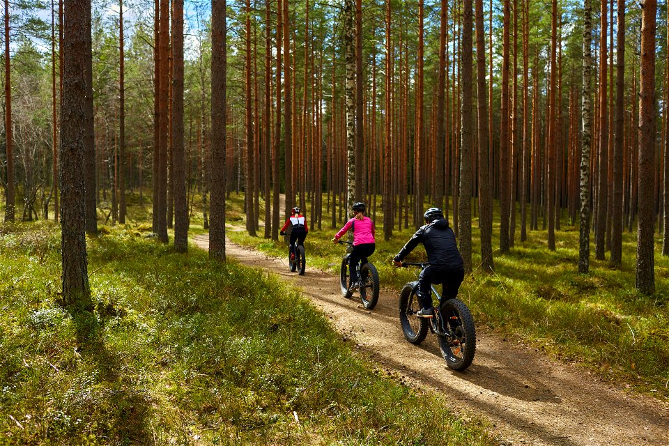 Aulanko Outdoors, Hämeenlinna, Finland