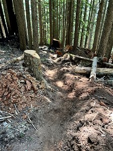 Handline CedarCkFire 220823