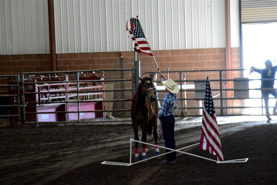 Northern Utah Wild Horse & Burro Festival - 2022 photo