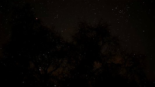 DSC_0059 (2)