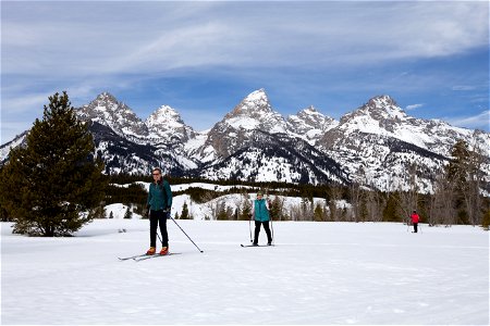 Cross-country skiing photo